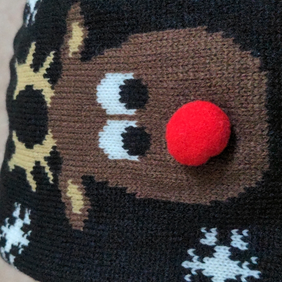 ❤️ Dog Sweater Rudolph Small NWOT 💥HOST CHOICE 💥 - Picture 8 of 10